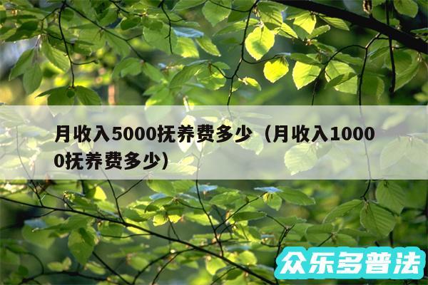 月收入5000抚养费多少以及月收入10000抚养费多少