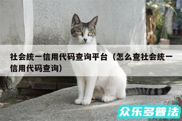 社会统一信用代码查询平台以及怎么查社会统一信用代码查询