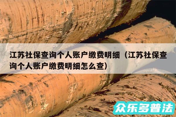 江苏社保查询个人账户缴费明细以及江苏社保查询个人账户缴费明细怎么查