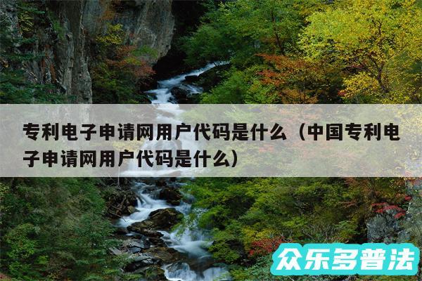 专利电子申请网用户代码是什么以及中国专利电子申请网用户代码是什么