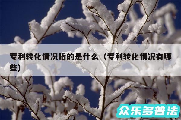专利转化情况指的是什么以及专利转化情况有哪些