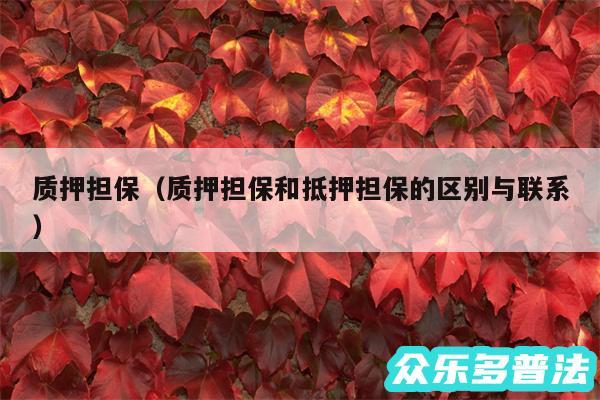 质押担保以及质押担保和抵押担保的区别与联系