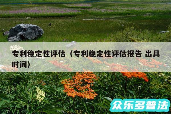 专利稳定性评估以及专利稳定性评估报告 出具时间