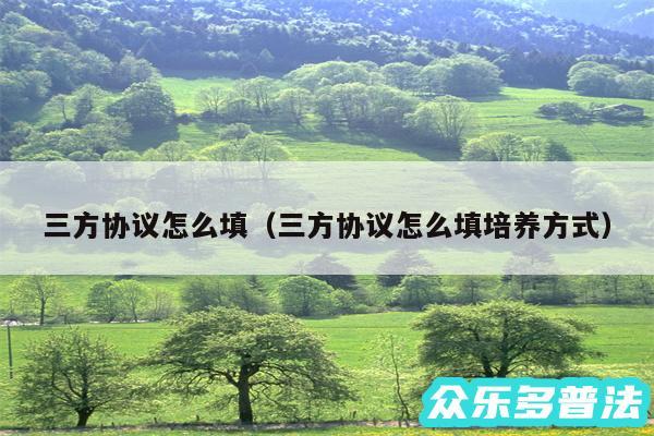三方协议怎么填以及三方协议怎么填培养方式
