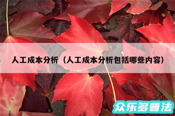 人工成本分析以及人工成本分析包括哪些内容