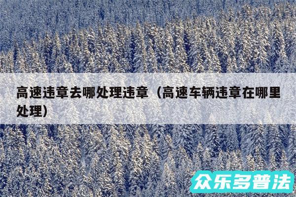 高速违章去哪处理违章以及高速车辆违章在哪里处理