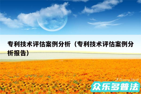 专利技术评估案例分析以及专利技术评估案例分析报告