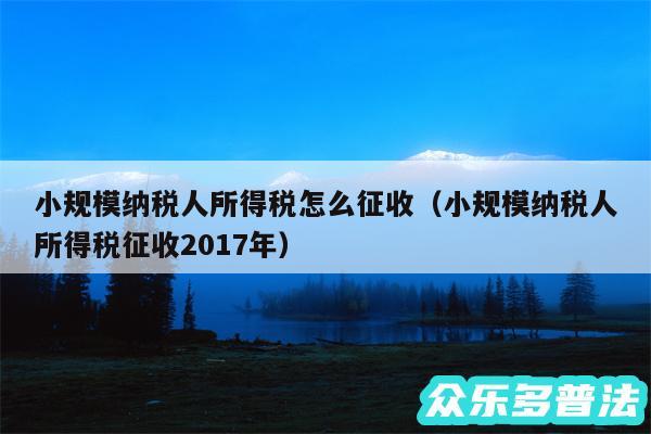 小规模纳税人所得税怎么征收以及小规模纳税人所得税征收2017年