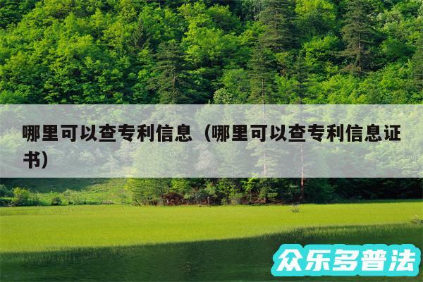 哪里可以查专利信息以及哪里可以查专利信息证书