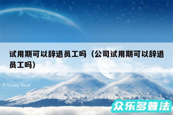 试用期可以辞退员工吗以及公司试用期可以辞退员工吗