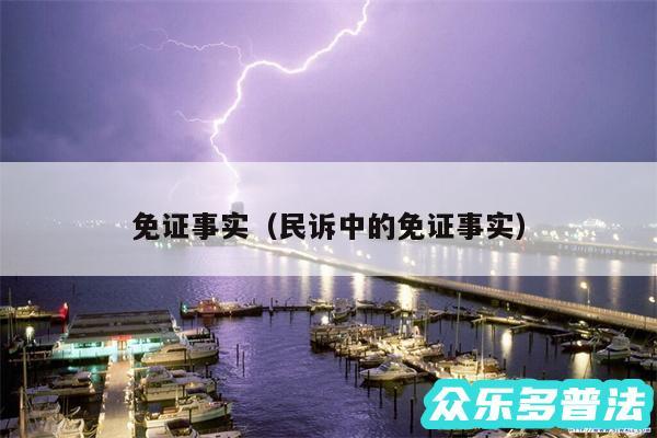 免证事实以及民诉中的免证事实