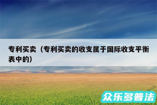 专利买卖以及专利买卖的收支属于国际收支平衡表中的