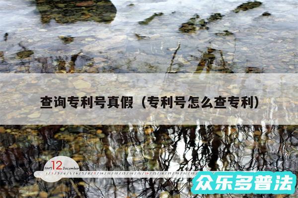 查询专利号真假以及专利号怎么查专利