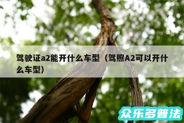 驾驶证a2能开什么车型以及驾照A2可以开什么车型