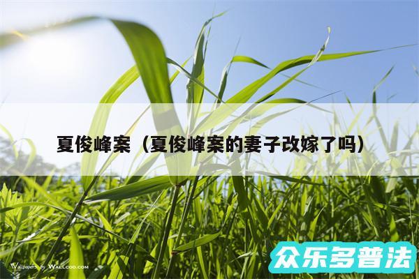 夏俊峰案以及夏俊峰案的妻子改嫁了吗