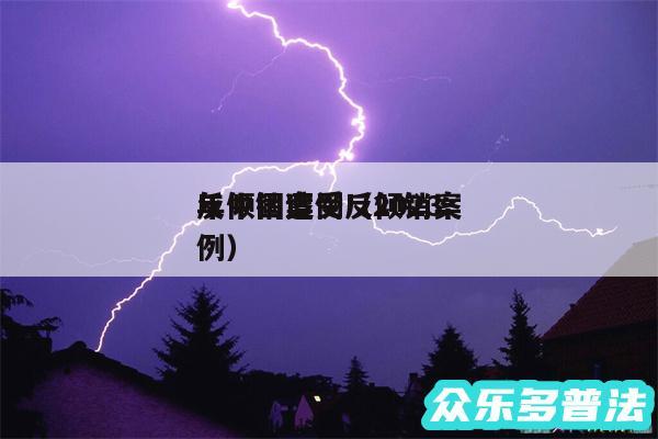 反倾销案例以及2024
年中国遭受反倾销案例