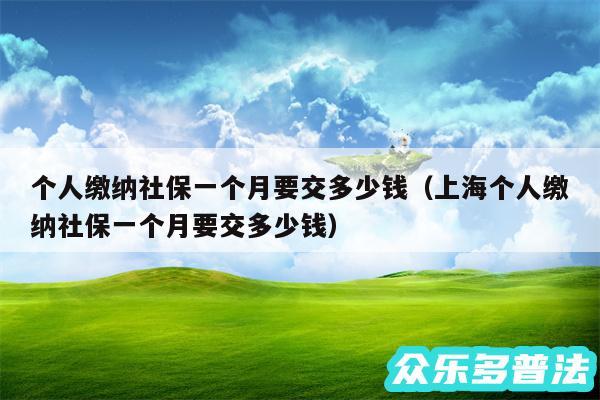 个人缴纳社保一个月要交多少钱以及上海个人缴纳社保一个月要交多少钱