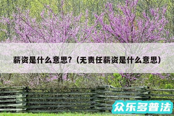 薪资是什么意思?以及无责任薪资是什么意思