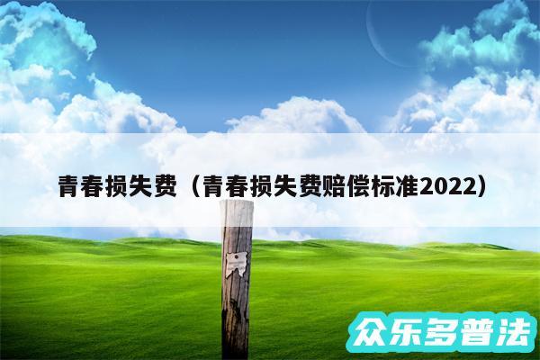 青春损失费以及青春损失费赔偿标准2024