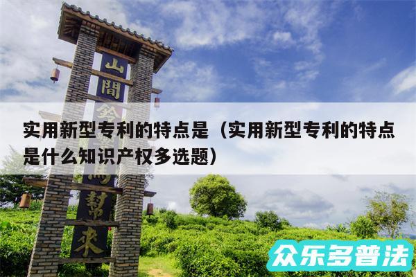 实用新型专利的特点是以及实用新型专利的特点是什么知识产权多选题