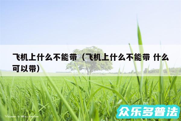 飞机上什么不能带以及飞机上什么不能带 什么可以带