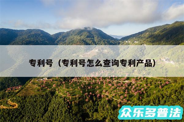 专利号以及专利号怎么查询专利产品