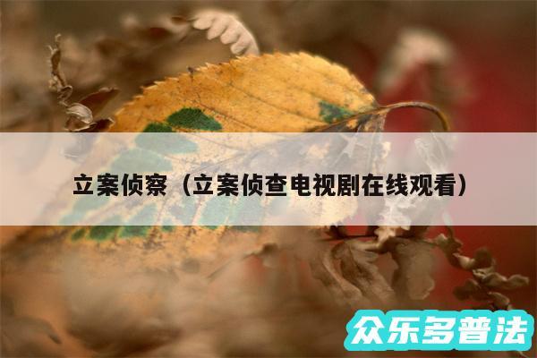 立案侦察以及立案侦查电视剧在线观看