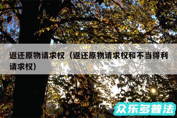 返还原物请求权以及返还原物请求权和不当得利请求权