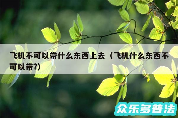 飞机不可以带什么东西上去以及飞机什么东西不可以带?