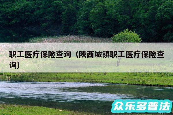 职工医疗保险查询以及陕西城镇职工医疗保险查询