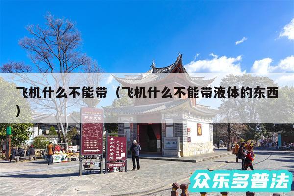 飞机什么不能带以及飞机什么不能带液体的东西
