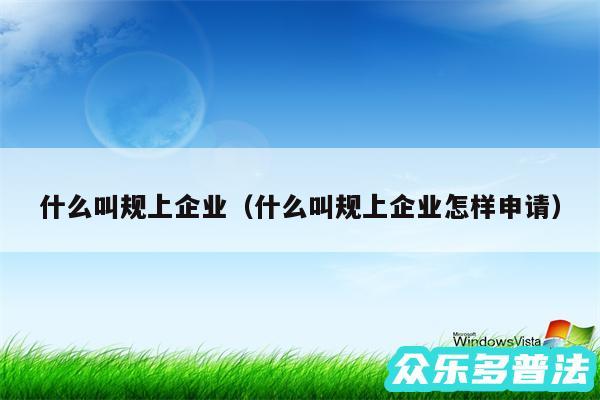 什么叫规上企业以及什么叫规上企业怎样申请