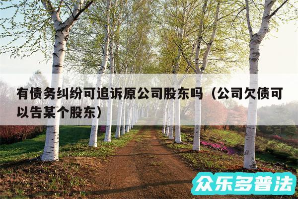 有债务纠纷可追诉原公司股东吗以及公司欠债可以告某个股东
