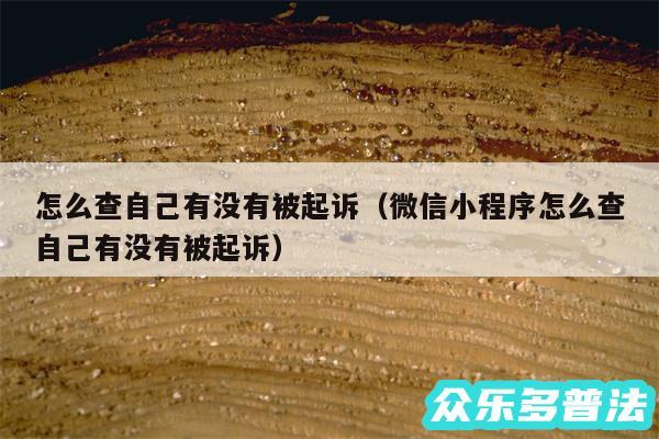 怎么查自己有没有被起诉以及微信小程序怎么查自己有没有被起诉