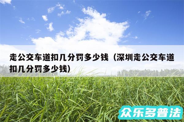 走公交车道扣几分罚多少钱以及深圳走公交车道扣几分罚多少钱