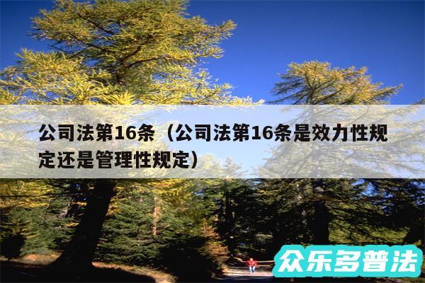 公司法第16条以及公司法第16条是效力性规定还是管理性规定