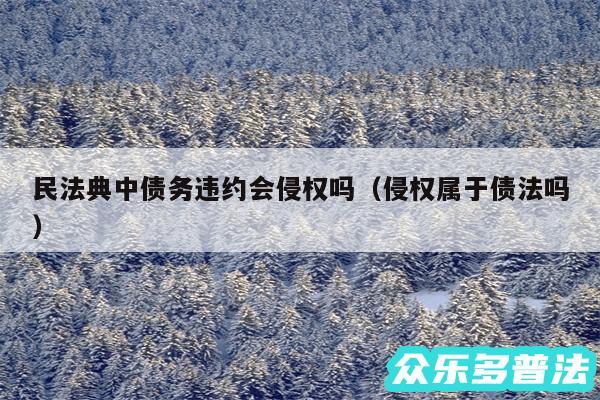 民法典中债务违约会侵权吗以及侵权属于债法吗