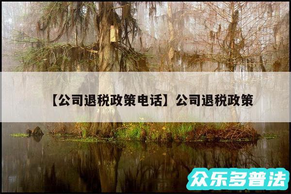 公司退税政策电话还有公司退税政策