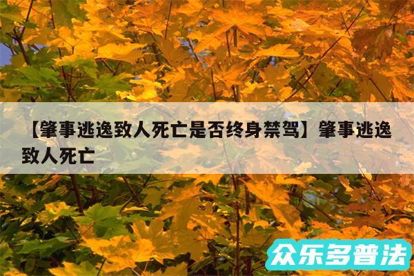 肇事逃逸致人死亡是否终身禁驾还有肇事逃逸致人死亡