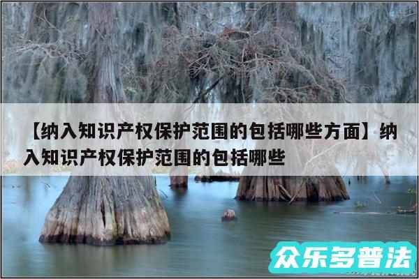 纳入知识产权保护范围的包括哪些方面还有纳入知识产权保护范围的包括哪些