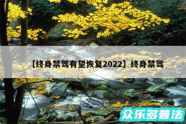 终身禁驾有望恢复2024还有终身禁驾