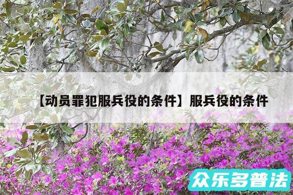动员罪犯服兵役的条件还有服兵役的条件