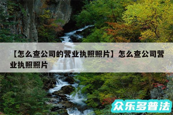 怎么查公司的营业执照照片还有怎么查公司营业执照照片