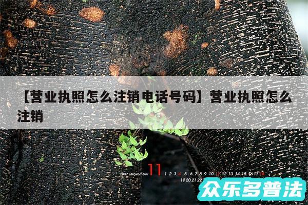 营业执照怎么注销电话号码还有营业执照怎么注销