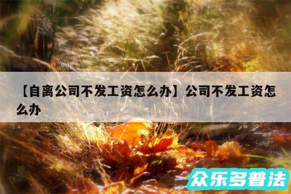 自离公司不发工资怎么办还有公司不发工资怎么办