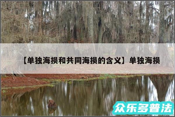 单独海损和共同海损的含义还有单独海损