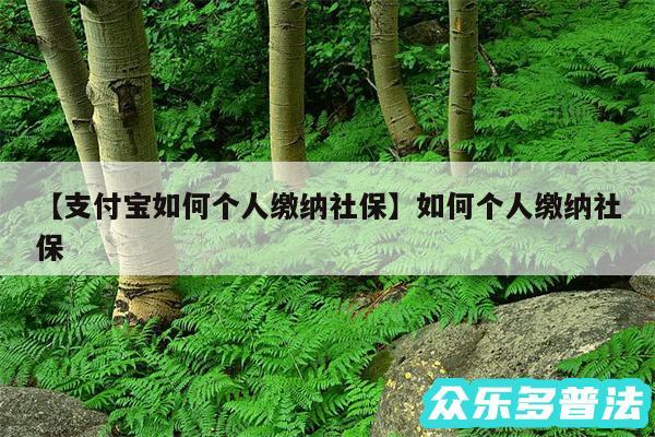 支付宝如何个人缴纳社保还有如何个人缴纳社保