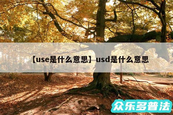 use是什么意思还有usd是什么意思