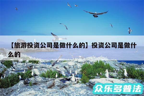 旅游投资公司是做什么的还有投资公司是做什么的