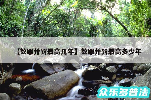 数罪并罚最高几年还有数罪并罚最高多少年